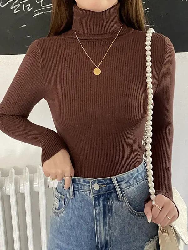 Turtleneck Sweater | Frostine
