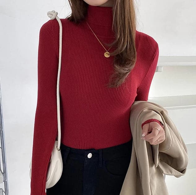 Turtleneck Sweater | Frostine